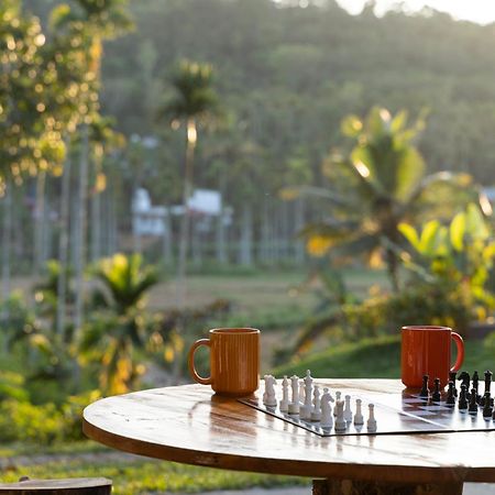 Stayvista At The Big Chill With Breakfast Included Wayanad Extérieur photo