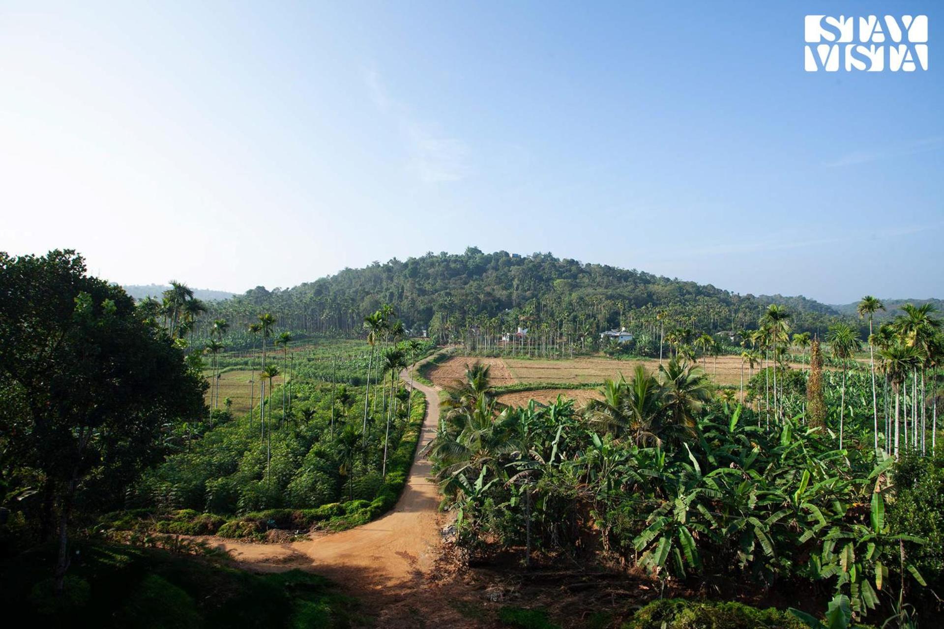 Stayvista At The Big Chill With Breakfast Included Wayanad Extérieur photo